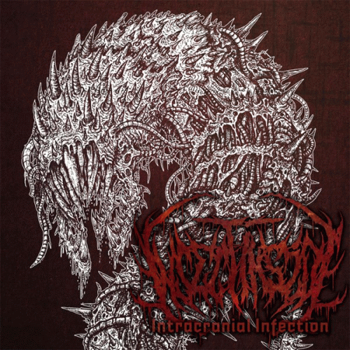 Insect Inside : Intracranial Infection